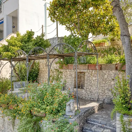 Blu La Patronale Daire *